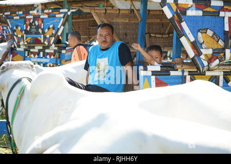 Propriétaire de Sapi, Gerobak panier vache traditionnel javanais se sont réunis à Jangkang marché des animaux, Sleman, Yogyakarta chaque dimanche matin Banque D'Images