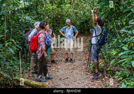 Une belle photo d'un guide local parlant de la diversité de la faune de la magnifique forêt tropicale du Parc national de Corcovado Banque D'Images