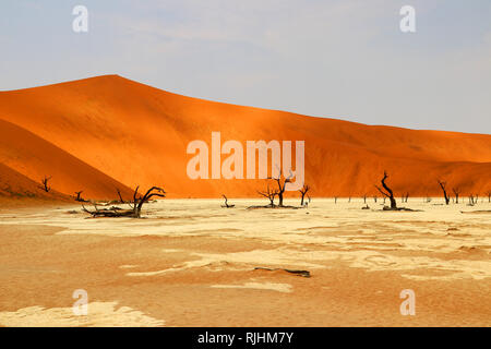 Deadvlei - Sossusvlei - Namibie Afrique du Sud Banque D'Images