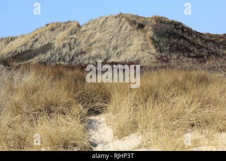 Dunes dans le sud de l'île de Sylt Banque D'Images