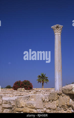 Colonne romaine dans l'Agora, Kourion, Episkopi, Limassol, Chypre : District Colonne solitaire contre un ciel bleu, avec palmier et de bougainvilliers Banque D'Images