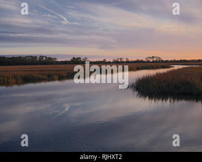 Hunting Island State Park, Caroline du Sud. Sentier de promenade du Marais. Avis de Marsh en soirée. Banque D'Images