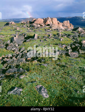 USA, Wyoming, forêt nationale de Shoshone, la toundra alpine, des rochers et des arc-en-ciel lointain, vue au sud-est du col de Beartooth. Banque D'Images