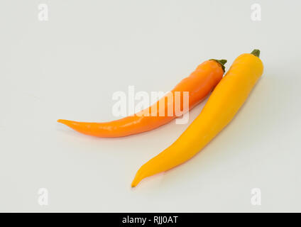 Le piment (Capsicum annuum). Jaune deux fruits mûrs. Studio photo sur un fond blanc. Allemagne Banque D'Images