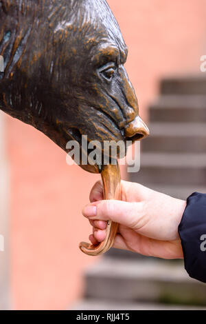 Réplique de E. M. Geyger en bronze de l'ours, Wroclaw, Wroclaw, Pologne, Wroklaw. Il est dit être la bonne chance de toucher ou frotter la langue de l'ours. Banque D'Images