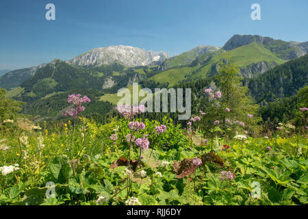 Paysage montagneux près de l'alpage Gotzenalm au parc national de Berchtesgaden. La Bavière, Allemagne Banque D'Images