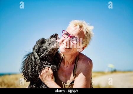 Chien, caniche, roi de lécher le visage d'une femme riant, Portbail, Normandie, France Banque D'Images