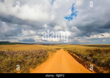 Route poussiéreuse qui traverse le parc national Nyika, Malawi Banque D'Images