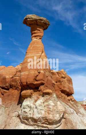 Les Toadstool Hoodoos, une zone de rochers en forme de champignon dans l'équilibre Grand Staircase-Escalante National Monument dans l'Utah, United States. Banque D'Images