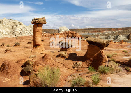 Les Toadstool Hoodoos, une zone de rochers en forme de champignon dans l'équilibre Grand Staircase-Escalante National Monument dans l'Utah, United States. Banque D'Images