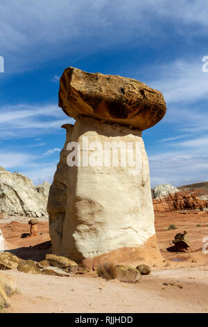 Les Toadstool Hoodoos, une zone de rochers en forme de champignon dans l'équilibre Grand Staircase-Escalante National Monument dans l'Utah, United States. Banque D'Images