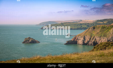 Berry Head vers St Mary's Bay Banque D'Images