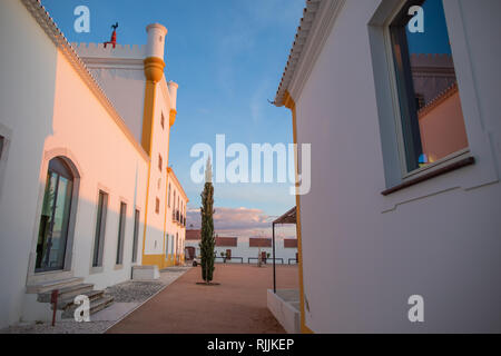 La cour de la ferme médiévale de la Torre de Palma Winery and hotel Banque D'Images