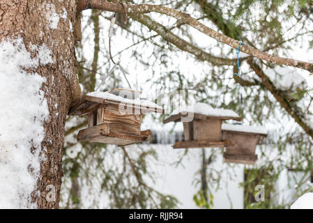 Home-made de l'oiseau en bois convoyeur en hiver, sous la neige. Banque D'Images