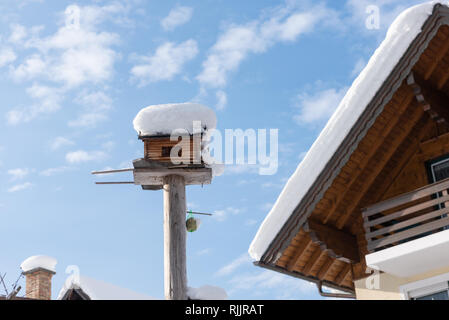 Home-made de l'oiseau en bois convoyeur en hiver, sous la neige. Banque D'Images