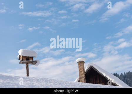 Home-made de l'oiseau en bois convoyeur en hiver, sous la neige. Banque D'Images