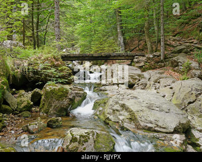 Bridge par Riesloch rock boisé cascade, massif, Bodenmais, parc national de la Forêt bavaroise Banque D'Images