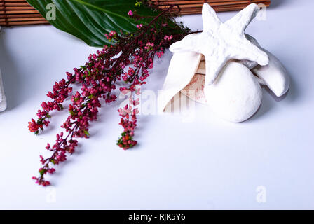 Rouge Couleur des branches, des pierres, des bougies, une feuille verte et d'un bambou sur fond blanc avec copie espace Banque D'Images