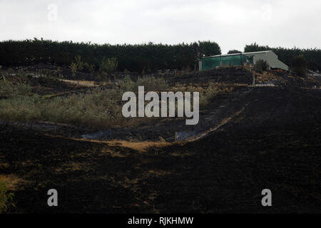 (190207) -- WELLINGTON, 7 février 2019 (Xinhua) -- Photo prise le 6 février 2019 montre une maison qui ont échappé à un feu de broussailles dans les champs noircis dans Nelson de l'île du Sud, Nouvelle-Zélande. Un feu de brousse a commencé mardi dans la région de South Island Tasman et causé 235 propriétés pour évacuer la zone. Environ 400 personnes ont été évacuées de leurs maisons que le feu est passé à 1 874 hectares à l'intérieur de 13 heures, selon les autorités locales. L'incendie, les pires à frapper la région depuis les années 1980, va probablement prendre plusieurs jours ou plus pour être arrêté, district de Tasmanie le maire Richard Kempthorne a dit à la presse. (Xinhua Banque D'Images