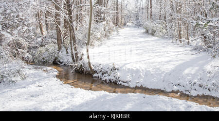 Un petit ruisseau tranquille serpentant à travers les bois sur un jour d'hiver enneigé. Banque D'Images