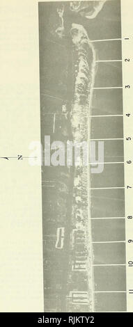 . Changements à la plage Holden Beach, North Carolina, 1970-74. Des changements de la côte ; la protection des rives. 12. Veuillez noter que ces images sont extraites de la page numérisée des images qui peuvent avoir été retouchées numériquement pour plus de lisibilité - coloration et l'aspect de ces illustrations ne peut pas parfaitement ressembler à l'œuvre originale.. Miller, Martin C, Coastal Engineering Research Centre (U. S. ). Fort Belvoir, Virginie : Le Centre ; Springfield, Virginie : National Technical Information Service, Division des opérations [distributeur] Banque D'Images