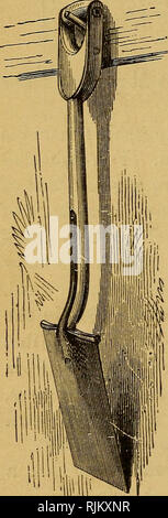 . Barry's Fruit jardin. La culture de fruits. Fi"-. 163.-WnEELBARROW les côtés et le bas d'un bois clair. La roue est bois tendre, chaussés de fer à repasser. La cosse (fig. 164).-les meilleures de ces cours d'utilisation" sont en acier moulé d'Ames, excellente, forte, la lumière d'articles. Ils travaillent comme l'argent propre et lumineuse. Il y a plusieurs tailles. Pour les travaux lourds, l'excavation, drainage, élever des arbres, etc., la plus grande doit être utilisé. La Pelle (fig. 165).-c'est utilisé dans le mélange, le chargement, et la diffusion de com- missions et les fumiers court. La lame !'| doit être de la fonte en acier. ' La cosse à fourche (fig. 166).-cela ressemble à une fourchette. Il h Banque D'Images