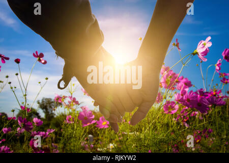 Jeune couple mains tenues ensemble par la lumière du soleil dans le cosmos flare fleurs sur l'herbe de prairie ou heather frais vert et fond de ciel bleu. Banque D'Images