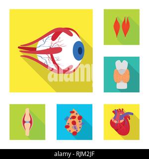 Muscle dorsal,oeil,os,sang,coeur,oeil,organes,moelle,tendon,plasma,cardiologie,traitement,contraction,dommage,génétique,le corps,la prophylaxie,mouvement,squelettique,infection,cornée,tissu,os,ligament,cell,cardiovasculaire,des,couches,santé,,biologie,scientifique,recherche,laboratoire d'organes internes,anatomie,,medical,set,icône,illustration,isolé,collection,design,élément,graphique,télévision,signe,ombre,vecteurs vecteur , Illustration de Vecteur