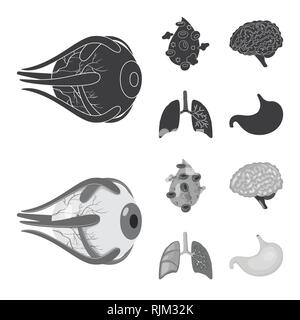 Globe oculaire,,sang,le cerveau,Poumon Estomac,oeil,esprit,plasma,trachée,tube,cornée,cell,,renseignement,pulmonaire,couches,gastrique,science,capot,la douleur,l'artère,structure,don,psychologie,respiratoire,vue,corps,maladie,genius,Protection,système,biologie,scientifique,recherche,laboratoire,Anatomie interne d'organes,médical,des,santé,,set,icône,,illustration,collection,isolé,design,graphisme,élément vecteur vecteurs,signer , Illustration de Vecteur