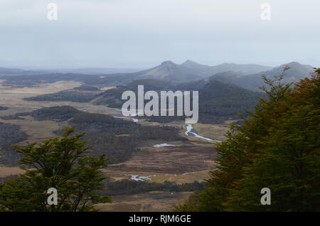 L'habitat de la mosaïque de forêts de hêtre subpolaire et steppe de Patagonie dans Karukinka parc naturel, le sud du Chili Banque D'Images