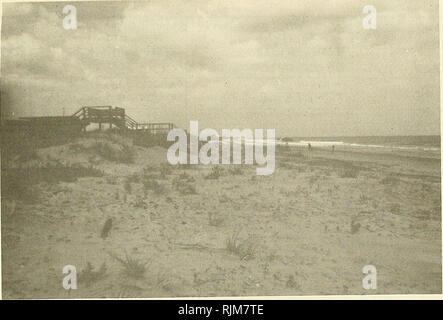 . Changements à la plage Holden Beach, North Carolina, 1970-74. Des changements de la côte ; la protection des rives. Profile la ligne 19. Vue vers l'est.. Veuillez noter que ces images sont extraites de la page numérisée des images qui peuvent avoir été retouchées numériquement pour plus de lisibilité - coloration et l'aspect de ces illustrations ne peut pas parfaitement ressembler à l'œuvre originale.. Miller, Martin C, Coastal Engineering Research Centre (U. S. ). Fort Belvoir, Virginie : Le Centre ; Springfield, Virginie : National Technical Information Service, Division des opérations [distributeur] Banque D'Images