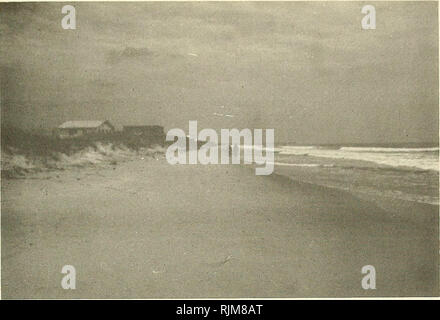 . Changements à la plage Holden Beach, North Carolina, 1970-74. Des changements de la côte ; la protection des rives. La ligne de profil 12. Vue vers l'est.. Veuillez noter que ces images sont extraites de la page numérisée des images qui peuvent avoir été retouchées numériquement pour plus de lisibilité - coloration et l'aspect de ces illustrations ne peut pas parfaitement ressembler à l'œuvre originale.. Miller, Martin C, Coastal Engineering Research Centre (U. S. ). Fort Belvoir, Virginie : Le Centre ; Springfield, Virginie : National Technical Information Service, Division des opérations [distributeur] Banque D'Images