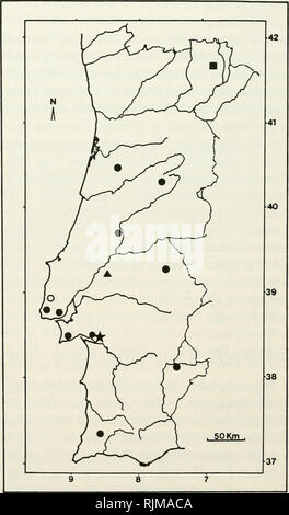 . Les chauves-souris du Portugal : la zoogéographie et systématique. Les chauves-souris -- Portugal. 34 PUBLICATIONS DIVERSES Cependant, Bauer (1956) a identifié trois spécimens d'espagnol comme P. savii ochromixtus ; selon lui, cette sous-espèce est présente dans les Pyrénées, Iberia, et les îles Baléares. Les trois spécimens que Bauer (1956) a examiné sont en fait de grands par rapport à d'autres populations européennes. Cependant, l'échantillon sur les Pyrénées décrite par Harrison (1949,1958) est l'examen- bly plus petit que l'autre de Bauer (1956) spécimens et bien dans la plage de variation de la forme. La même Banque D'Images