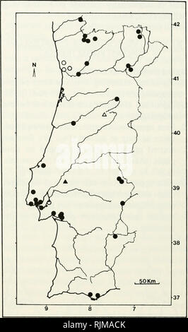 . Les chauves-souris du Portugal : la zoogéographie et systématique. Les chauves-souris -- Portugal. 30 PUBLICATIONS DIVERSES Pipistrellus pipistrellus (Schreber, 1774) Distribution.-P. pipistrellus est présent, du Portugal à la Chine (Neuhauser et DeBlase, 1974), et de l'Afrique du Nord (p. ex. Hanak et Gaisler, 1983) pour le sud de la Norvège et de la Suède (Ryberg, 1947). En dépit des déclarations à la con- contrairement à l'œuvres anciennes (p. ex. Ellerman et Morrison- Scott, 1951 ; Lanza, 1959), cette espèce semble être absent de l'Asie de l'Est et le Japon (Wallin, 1969). P. pipistrellus se produit partout dans la péninsule ibérique et est la plus commune des bat speci Banque D'Images