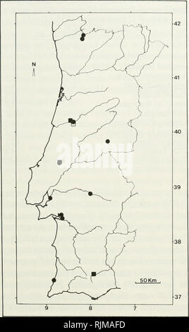 . Les chauves-souris du Portugal : la zoogéographie et systématique. Les chauves-souris -- Portugal. Les chauves-souris portugais 19. Fig. 24. Dossiers de Myotis daubentonii localité du Portugal ; des cercles fermés. Localité des registres de Myotis emarginatus du Portugal ; fermé- carrés échantillons examinés ; carré ouvert-littérature de référence. Les deux versions ont été identifiées tout au long du Portugal. M. daubentonii est étroitement associé à l'eau ; il se perche dans les arbres creux, les ponts, les bâtiments et les crevasses de rochers au cours de l'été, et des hivers en grottes et caves (p. ex. Koe- alski et Ruprecht, 1981). La morphologie et les Remarques taxonomiques.-M. dauben Banque D'Images