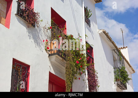 Avant d'une maison décorée par les plantes de maison vivent sous un ciel bleu. D'un balcon et d'alcôves windows peint rose foncé sur façade. Banque D'Images