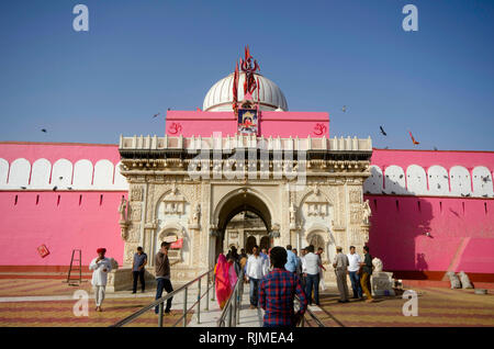 BIKANER, Rajasthan, Inde, novembre 2018, dévot à Karni Mata ou le temple des Rats Banque D'Images