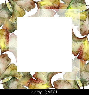 Le Ginkgo biloba feuille verte jardin botanique des plantes à feuillage floral. Contexte aquarelle illustration set. Dessin Aquarelle Aquarelle mode isolé Banque D'Images