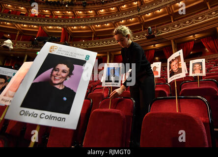 Un membre du personnel utilise 'chefs sur des bâtons' pour vérifier le blocage de l'appareil photo au Royal Albert Hall, Londres, avant de l'EE British Academy Film Awards le dimanche 10 février. Banque D'Images