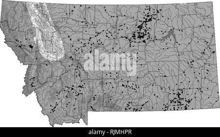 . Montana de l'évaluation de la situation des amphibiens et des reptiles, l'examen de la littérature, et de plan de conservation. Les amphibiens, reptiles ; des indicateurs (biologie) ; Habitat (écologie) ; la conservation de la faune. Crotale des prairies (Crotalus viridis) distribution à jour et les informations d'état peuvent être trouvés sur le Montana Natural Heritage Program's TRACKER site web à mtnhp.org. La distribution/Taxonomie gamme crotales des prairies de l'Ouest Amérique du Nord du Canada jusqu'au Mexique. Dans le Montana, le crotale des prairies (C. v. viridis), se trouve partout dans le Montana et l'états des Grandes Plaines du sud à travers le Texas au nord du Mexique (St Banque D'Images