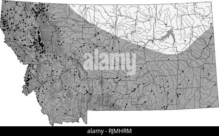 . Montana de l'évaluation de la situation des amphibiens et des reptiles, l'examen de la littérature, et de plan de conservation. Les amphibiens, reptiles ; des indicateurs (biologie) ; Habitat (écologie) ; la conservation de la faune. Couleuvre rayée (Thamnophis sirtalis) distribution à jour et les informations d'état peuvent être trouvés sur le Montana Natural Heritage Program's TRACKER site web à mtnhp.org. La distribution/Taxonomie La couleuvre rayée (Thamnophis sirtalis) est la plus vaste aire de reptile en Amérique du Nord, se produisant d'un océan à l'autre de la Colombie-Britannique à la Nouvelle-Écosse, au sud de la Floride et à l'ouest, au sud de la Californie, tandis que l'absence d'onl Banque D'Images