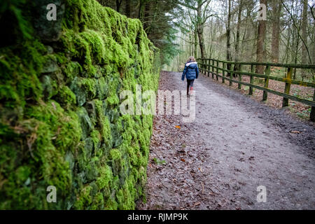 Une fille qui marche à St Ives dans Bingley, Bradford, West Yorkshire. Banque D'Images