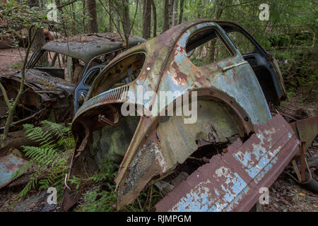 Old vintage voitures rouillées dans un parc à ferrailles dans une forêt à Ryd, Kyrko Mosse en Suède Banque D'Images