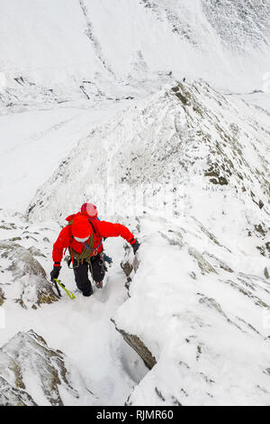 Les grimpeurs alpinistes / hiver sur une traverse de tranchant, une crête sur Blencathra Mountain dans le Parc National du Lake District, Cumbria, Royaume-Uni Banque D'Images