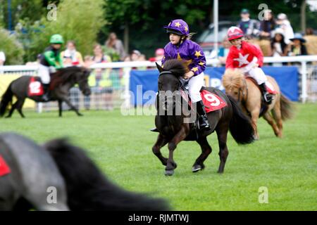 Les jeunes cavaliers et leurs poneys Shetland participant au Grand National, dans le ring au Royal trois comtés à montrer les trois comtés Show Banque D'Images