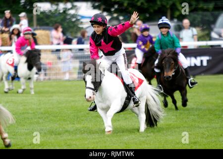 Les jeunes cavaliers et leurs poneys Shetland participant au Grand National, dans le ring au Royal trois comtés à montrer les trois comtés Show Banque D'Images