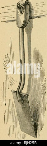 . Barry's Fruit jardin. La culture de fruits. -WIIEEI BAKROW 163 Fig les côtés et le bas d'un bois clair. La roue est bois tendre, chaussés de fer à repasser. La cosse (fig. 164).-Les meilleurs types d'utilisation de ces Ames sont en acier moulé, excellente, forte, la lumière d'articles. Cleiui ils travaillent et brillant que l'argent. Il y a plusieurs tailles. Pour les travaux lourds, l'excavation, drainage, élever des arbres, etc., le lai'gest devrait être utilisé. Le Sliovel {^^. 165).-c'est utilisé dans le mélange, le chargement, et la diffusion de com- missions et les fumiers court. La lame doit être de la fonte en acier. Les angles de la cosse (fig. 166).-cela ressemble à une fourchette. Il a trois t Banque D'Images