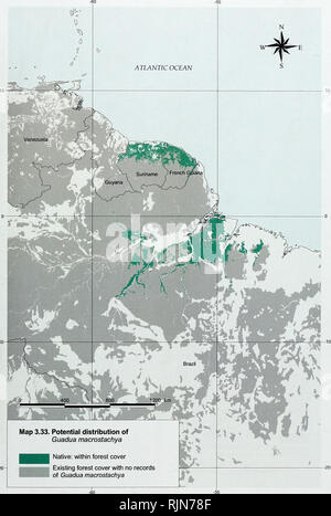 . La biodiversité en bambou : Afrique, Madagascar et les Amériques. Bambou bambou ; Biodiversité ; ; Biodiversité ; Bamboe ; Rotan ; Biodiversiteit ; Bambusgewa ?chse ; BAMBOU ; diversité biologique ; LA CONSERVATION DE LA NATURE ; DES CARTES ; Afrique ; Madagascar ; Amériques. La biodiversité en bambou. Veuillez noter que ces images sont extraites de la page numérisée des images qui peuvent avoir été retouchées numériquement pour plus de lisibilité - coloration et l'aspect de ces illustrations ne peut pas parfaitement ressembler à l'œuvre originale.. , Nadia Bystriakova ; Kapos, Valerie ; Lysenko, Igor ; UNEP World Conservation Monitoring Centre ; Réseau international fo Banque D'Images