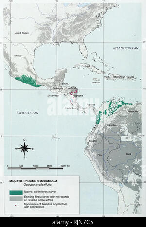 . La biodiversité en bambou : Afrique, Madagascar et les Amériques. Bambou bambou ; Biodiversité ; ; Biodiversité ; Bamboe ; Rotan ; Biodiversiteit ; Bambusgewa ?chse ; BAMBOU ; diversité biologique ; LA CONSERVATION DE LA NATURE ; DES CARTES ; Afrique ; Madagascar ; Amériques. La biodiversité en bambou. 70. Veuillez noter que ces images sont extraites de la page numérisée des images qui peuvent avoir été retouchées numériquement pour plus de lisibilité - coloration et l'aspect de ces illustrations ne peut pas parfaitement ressembler à l'œuvre originale.. , Nadia Bystriakova ; Kapos, Valerie ; Lysenko, Igor ; UNEP World Conservation Monitoring Centre ; International Networ Banque D'Images