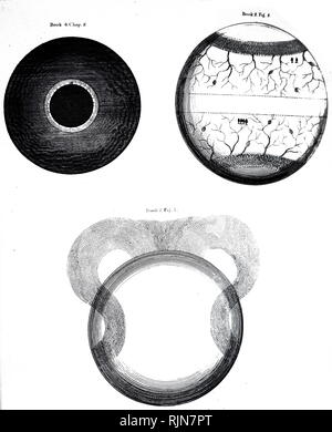 Une gravure représentant les idées de Thomas Burnett des différentes étapes de la formation de la Terre. Thomas Burnett (1635-1715) un théologien et écrivain anglais sur cosmogonie. En date du 19e siècle Banque D'Images